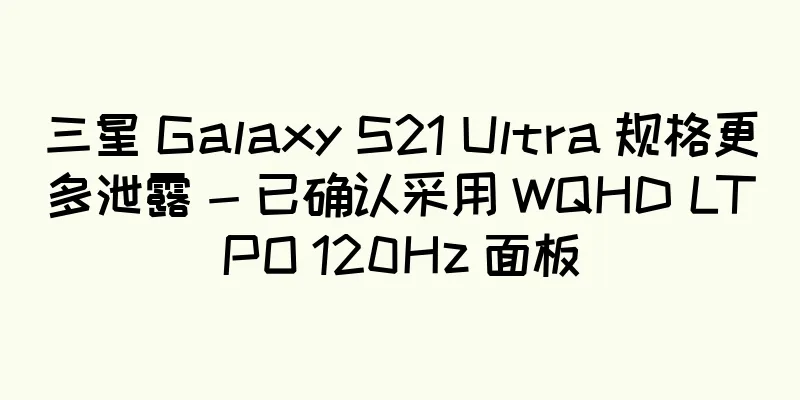 三星 Galaxy S21 Ultra 规格更多泄露 - 已确认采用 WQHD LTPO 120Hz 面板