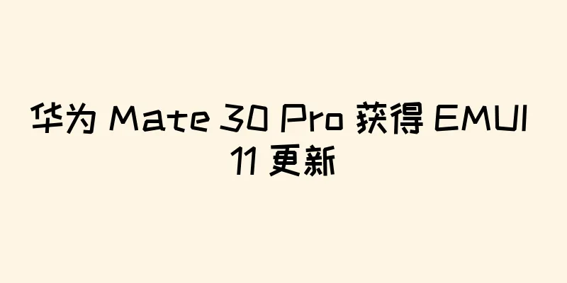 华为 Mate 30 Pro 获得 EMUI 11 更新