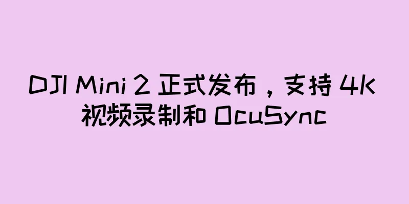 DJI Mini 2 正式发布，支持 4K 视频录制和 OcuSync