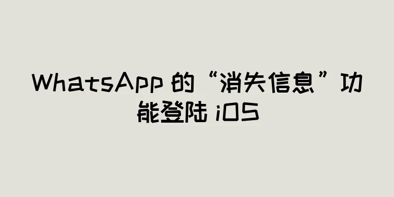 WhatsApp 的“消失信息”功能登陆 iOS