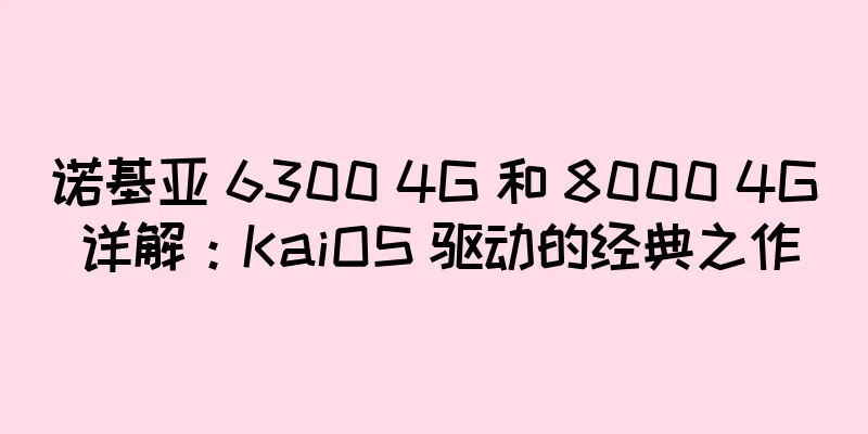 诺基亚 6300 4G 和 8000 4G 详解：KaiOS 驱动的经典之作