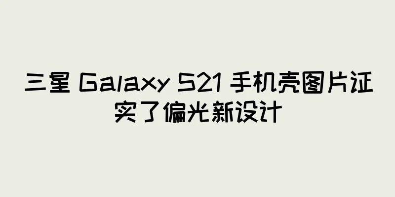 三星 Galaxy S21 手机壳图片证实了偏光新设计
