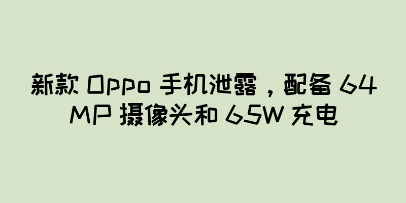 新款 Oppo 手机泄露，配备 64MP 摄像头和 65W 充电