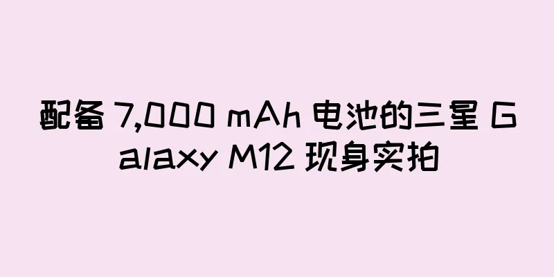 配备 7,000 mAh 电池的三星 Galaxy M12 现身实拍