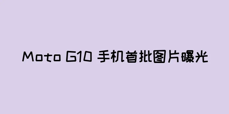 Moto G10 手机首批图片曝光