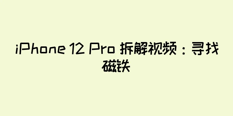 iPhone 12 Pro 拆解视频：寻找磁铁
