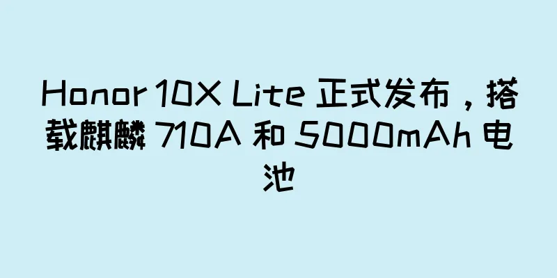 Honor 10X Lite 正式发布，搭载麒麟 710A 和 5000mAh 电池