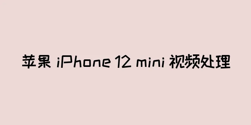 苹果 iPhone 12 mini 视频处理