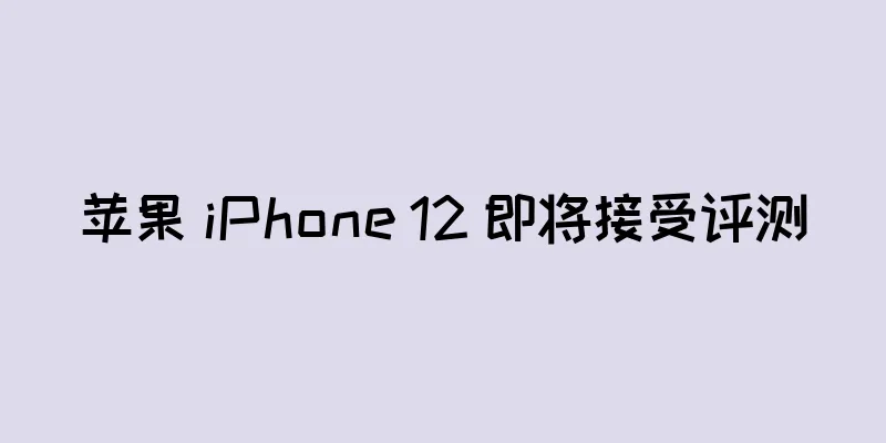 苹果 iPhone 12 即将接受评测
