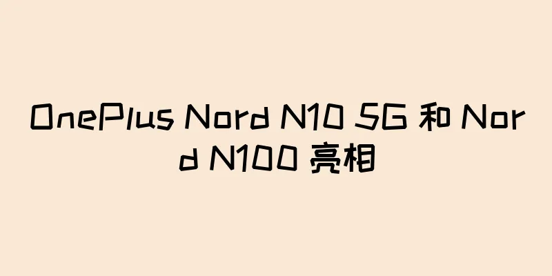 OnePlus Nord N10 5G 和 Nord N100 亮相