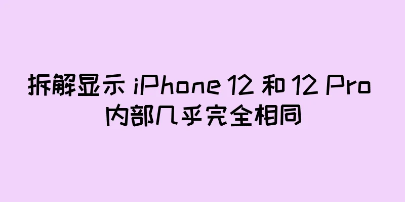 拆解显示 iPhone 12 和 12 Pro 内部几乎完全相同