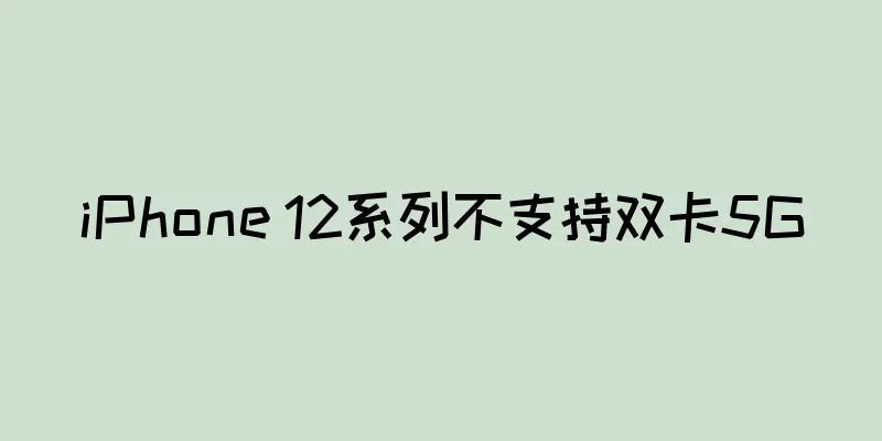iPhone 12系列不支持双卡5G