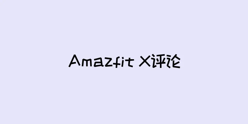 Amazfit X评论