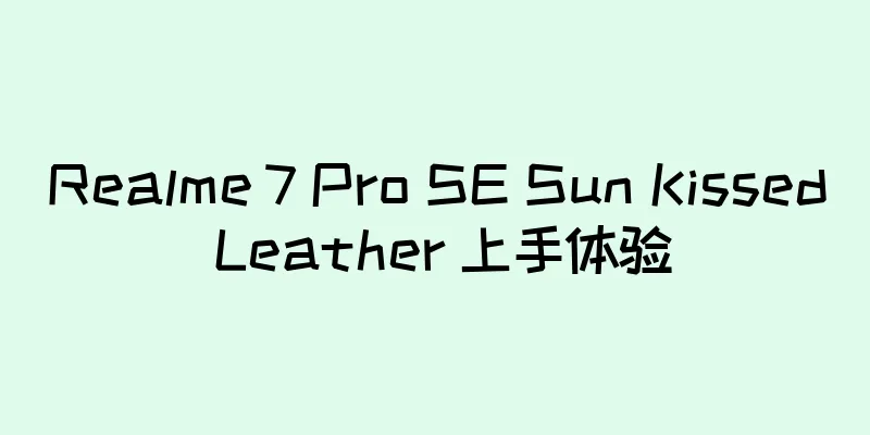 Realme 7 Pro SE Sun Kissed Leather 上手体验