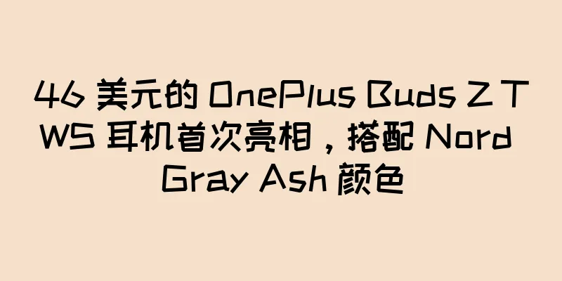 46 美元的 OnePlus Buds Z TWS 耳机首次亮相，搭配 Nord Gray Ash 颜色