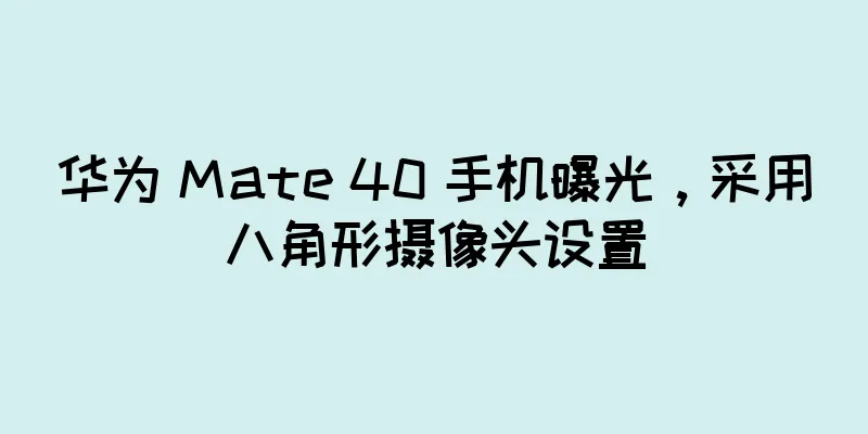 华为 Mate 40 手机曝光，采用八角形摄像头设置