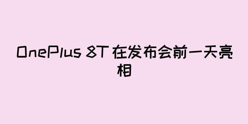 OnePlus 8T 在发布会前一天亮相