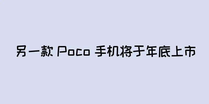 另一款 Poco 手机将于年底上市