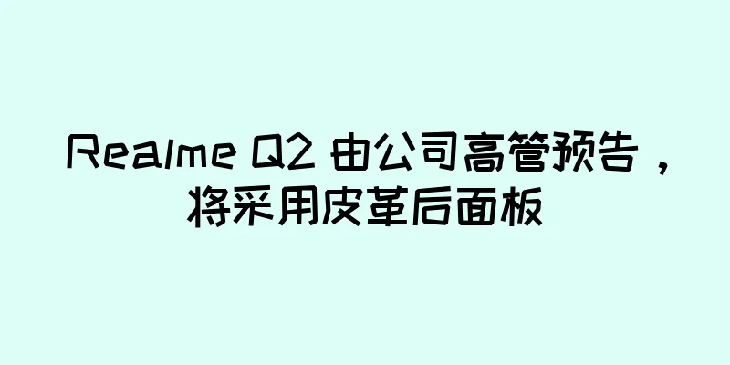 Realme Q2 由公司高管预告，将采用皮革后面板