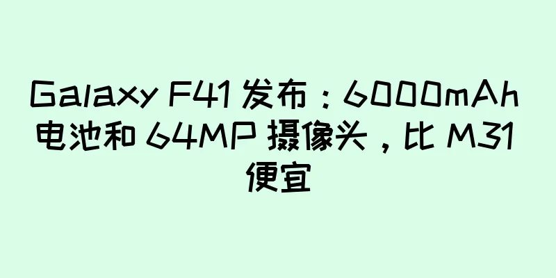 Galaxy F41 发布：6000mAh 电池和 64MP 摄像头，比 M31 便宜