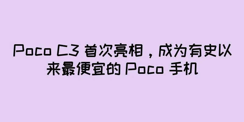 Poco C3 首次亮相，成为有史以来最便宜的 Poco 手机