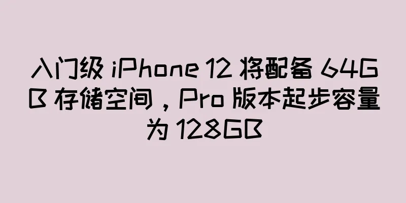 入门级 iPhone 12 将配备 64GB 存储空间，Pro 版本起步容量为 128GB