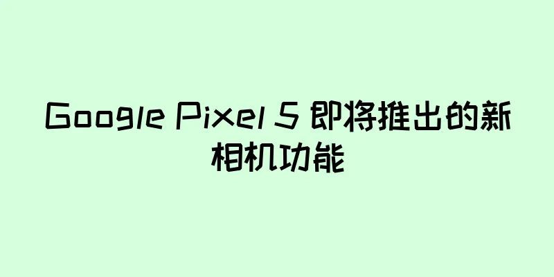 Google Pixel 5 即将推出的新相机功能