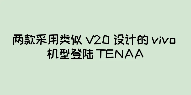 两款采用类似 V20 设计的 vivo 机型登陆 TENAA