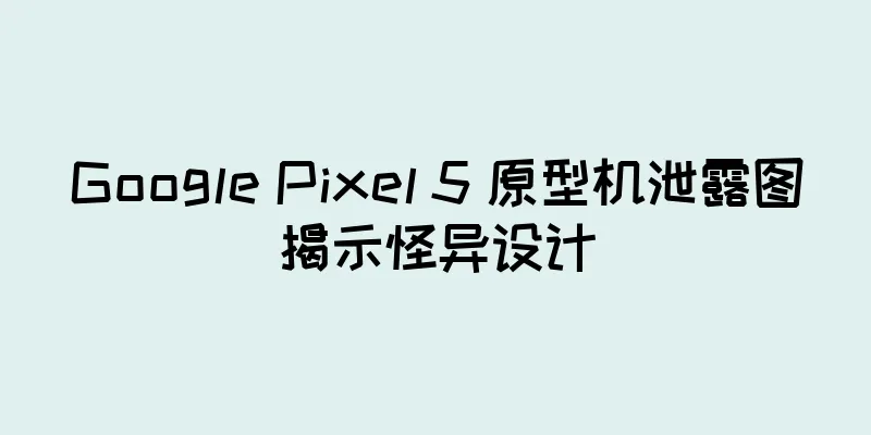 Google Pixel 5 原型机泄露图揭示怪异设计