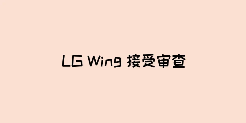 LG Wing 接受审查