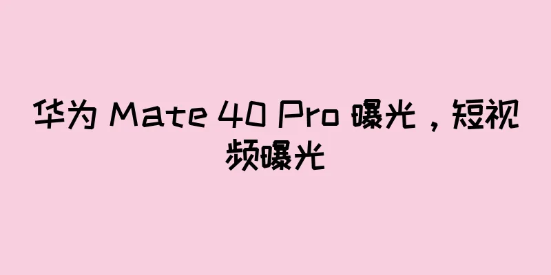 华为 Mate 40 Pro 曝光，短视频曝光