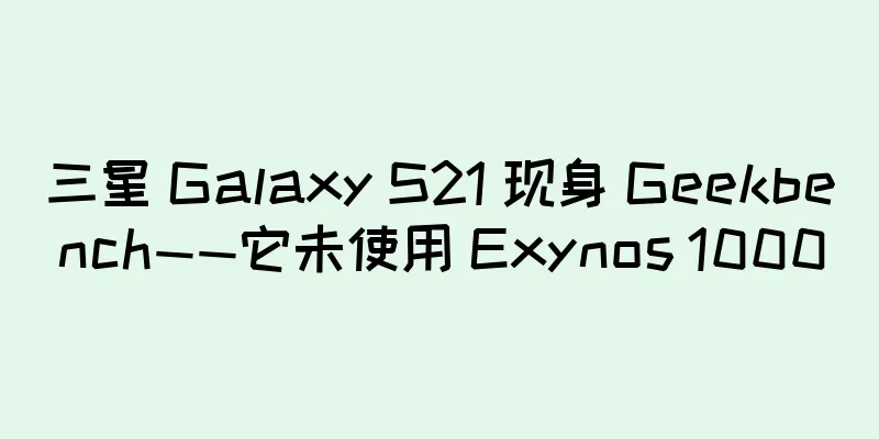 三星 Galaxy S21 现身 Geekbench——它未使用 Exynos 1000