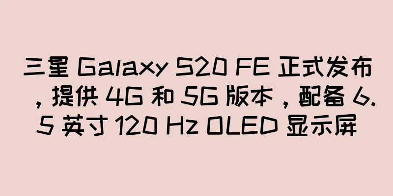三星 Galaxy S20 FE 正式发布，提供 4G 和 5G 版本，配备 6.5 英寸 120 Hz OLED 显示屏