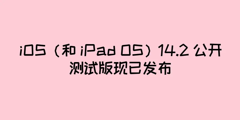iOS（和 iPad OS）14.2 公开测试版现已发布