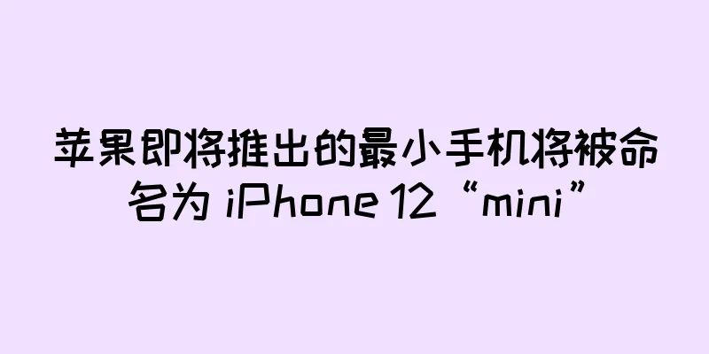 苹果即将推出的最小手机将被命名为 iPhone 12“mini”