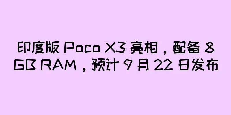 印度版 Poco X3 亮相，配备 8GB RAM，预计 9 月 22 日发布