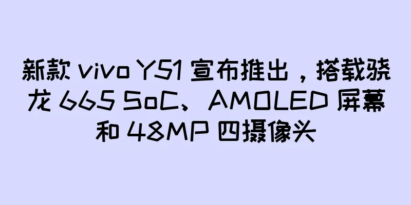 新款 vivo Y51 宣布推出，搭载骁龙 665 SoC、AMOLED 屏幕和 48MP 四摄像头