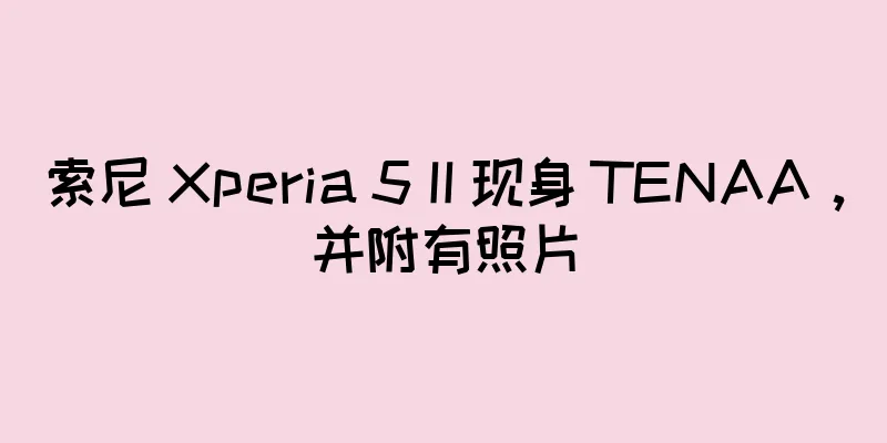 索尼 Xperia 5 II 现身 TENAA，并附有照片