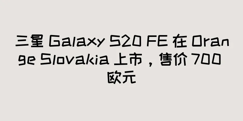 三星 Galaxy S20 FE 在 Orange Slovakia 上市，售价 700 欧元