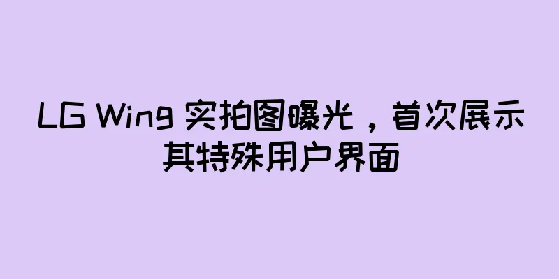 LG Wing 实拍图曝光，首次展示其特殊用户界面