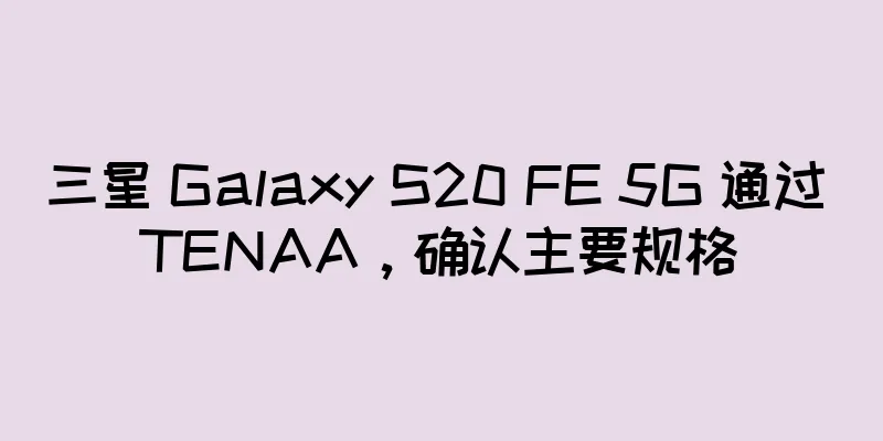 三星 Galaxy S20 FE 5G 通过 TENAA，确认主要规格
