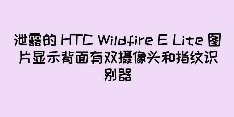 泄露的 HTC Wildfire E Lite 图片显示背面有双摄像头和指纹识别器