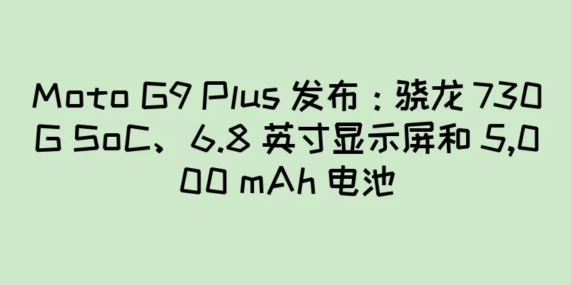 Moto G9 Plus 发布：骁龙 730G SoC、6.8 英寸显示屏和 5,000 mAh 电池