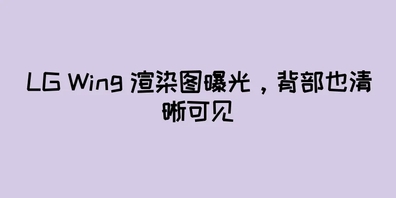 LG Wing 渲染图曝光，背部也清晰可见
