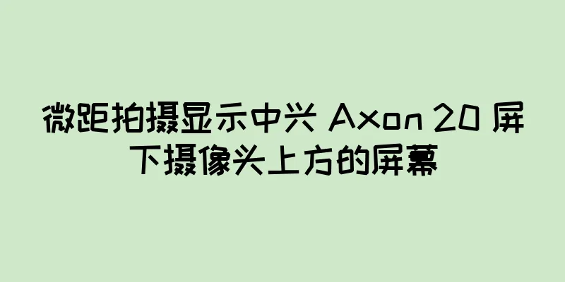 微距拍摄显示中兴 Axon 20 屏下摄像头上方的屏幕