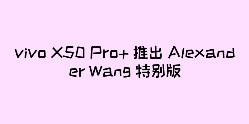 vivo X50 Pro+ 推出 Alexander Wang 特别版