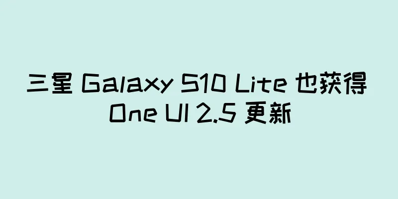 三星 Galaxy S10 Lite 也获得 One UI 2.5 更新