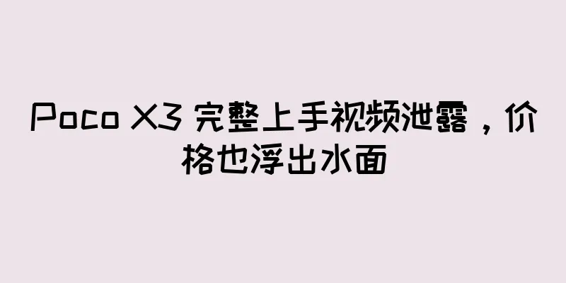Poco X3 完整上手视频泄露，价格也浮出水面