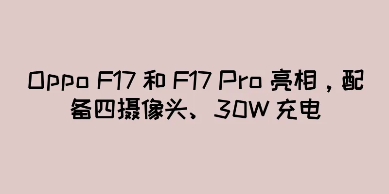Oppo F17 和 F17 Pro 亮相，配备四摄像头、30W 充电