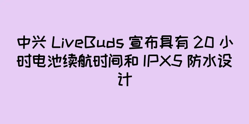 中兴 LiveBuds 宣布具有 20 小时电池续航时间和 IPX5 防水设计